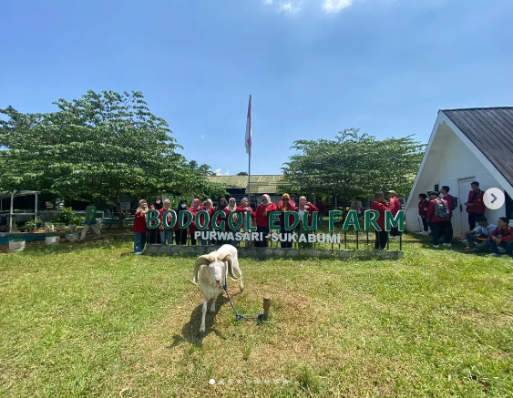 Mahasiswa Kampus Budi Bakti Belajar Langsung Praktik Peternakan Hewan di Bodogol Farm Sukabumi